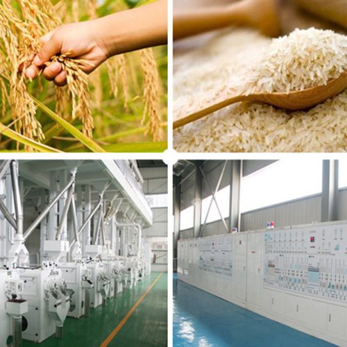 Rice mills